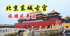 狂操小粉穴中国北京-东城古宫旅游风景区